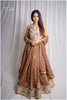 Copper Kanjivaram Soft Tissue Silk Dual Tone Skirt
