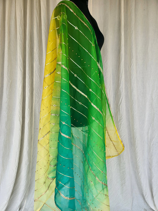 Multi Color Organza Delicate Dupatta