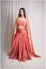 Gulab Saanjh – Kanjivaram High-Waisted Skirt Set