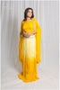 Indo-Western Ombre Skirt Set