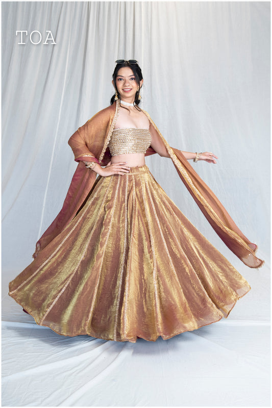 Zardosi Kalli Dual Tone Kanjivaram Skirt - Copper Golden