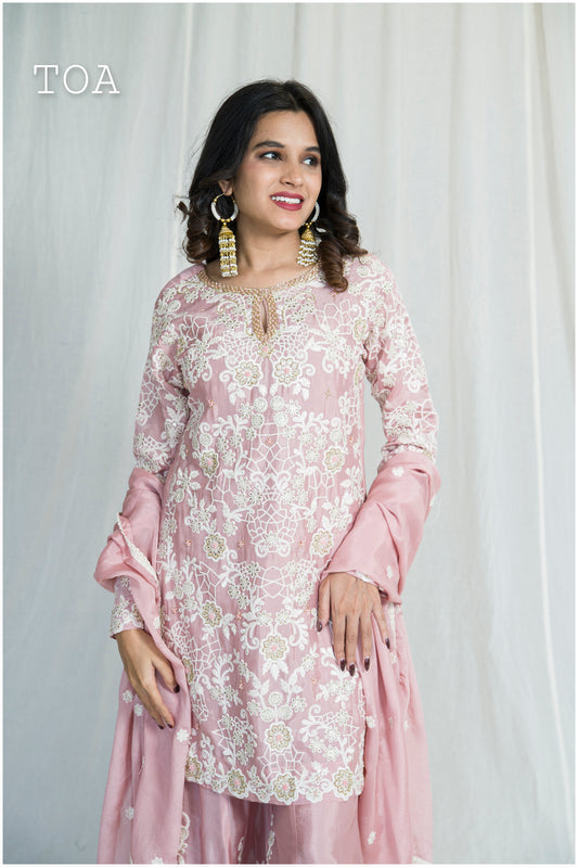 Stunning Blush Pink Embroidered Palazzo Outfit