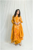 Stunning Mango-Colored Embroidered Dress