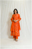 Stunning Rustic-Colored Embroidered Dress