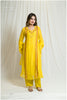 Laal Peela - Colored Embroidered Dress