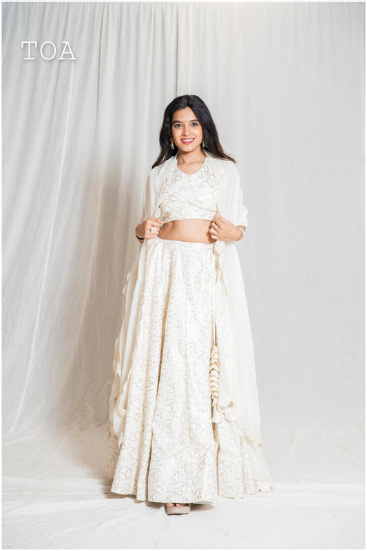 Off-White Georgette Dupatta Only