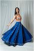 Rang Kodi Raas Skirt - Black