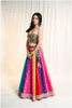 Multi Banarasi Rangeen Skirt Only