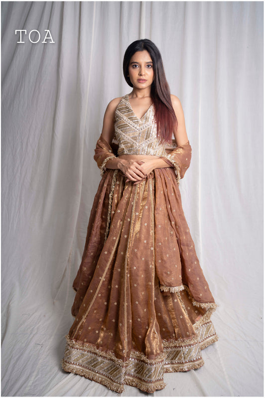 Copper Kanjivaram Soft Tissue Silk Dual Tone Skirt