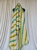 Premium Tissue Silk Banarasi Dupatta