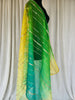 Multi Color Organza Delicate Dupatta
