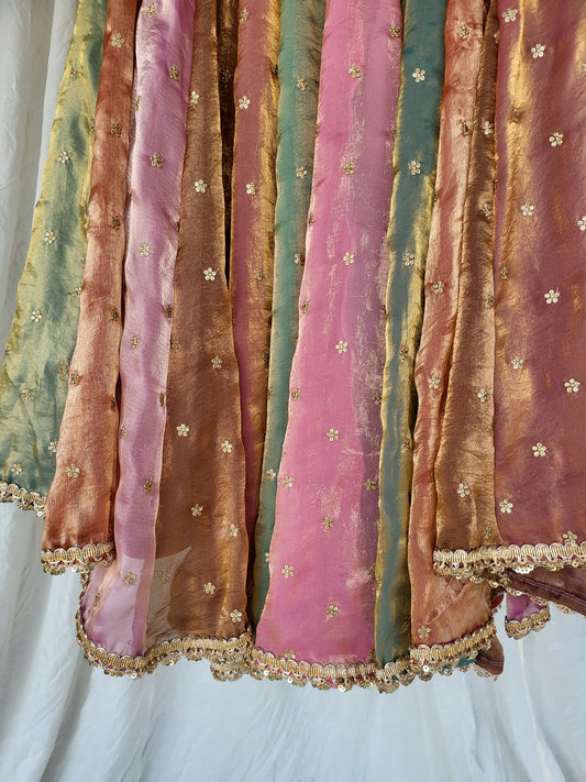 Multi Kanjivaram Soft Tissue Silk Dual Tone Palatte Skirt