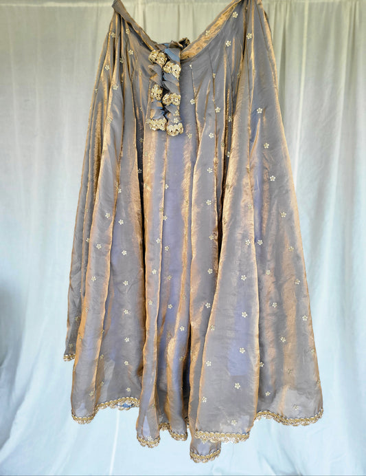 Copper Grey Kanjivaram Soft Tissue Silk Dual Tone Palatte Skirt