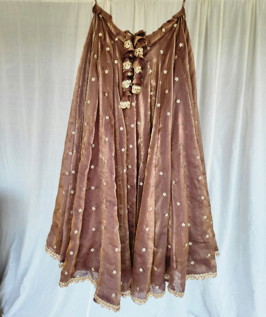 Copper Kanjivaram Soft Tissue Silk Dual Tone Palatte Skirt