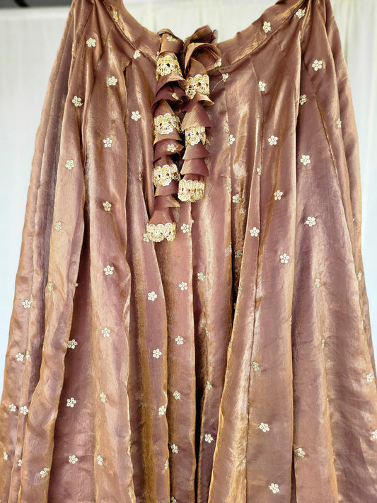 Copper Kanjivaram Soft Tissue Silk Dual Tone Palatte Skirt