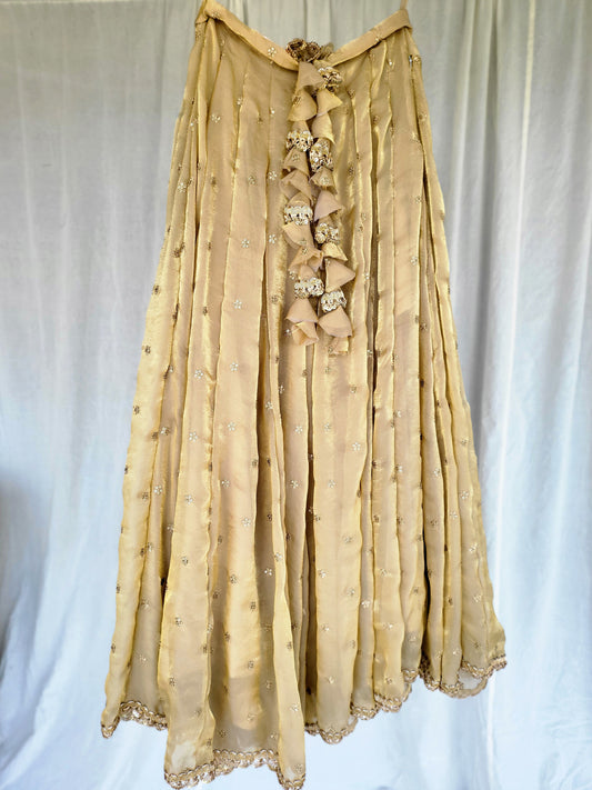 Golden Kanjivaram Soft Tissue Silk Dual Tone Palatte Skirt