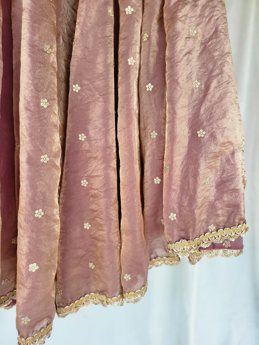 Blush Pink Kanjivaram Soft Tissue Silk Dual Tone Palatte Skirt