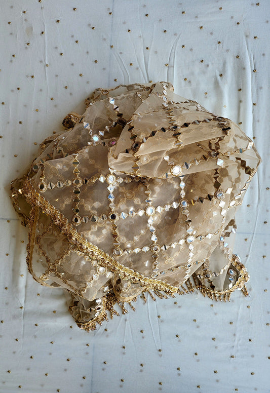 Golden Mirror Dupatta 💫