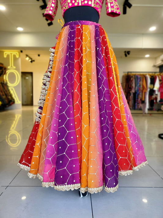 Rangeen Organza Skirt