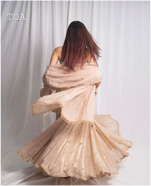 Golden Mukesh Dupatta 💫
