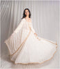 Cream Off white Soft Organza Delicate Dupatta