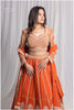 Introducing our Beautiful Rust Lehenga Set