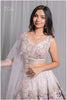 Pastel Beauty Lehenga Set