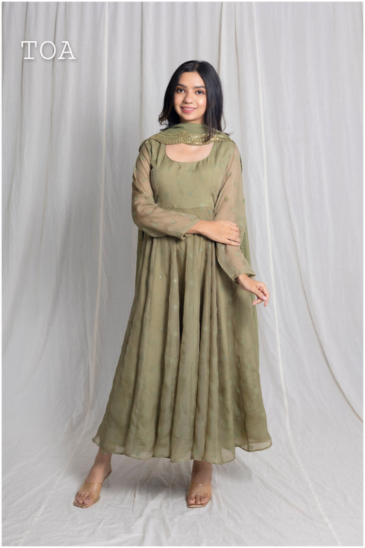 Elegant Organza Anarkali Set with Dupatta.