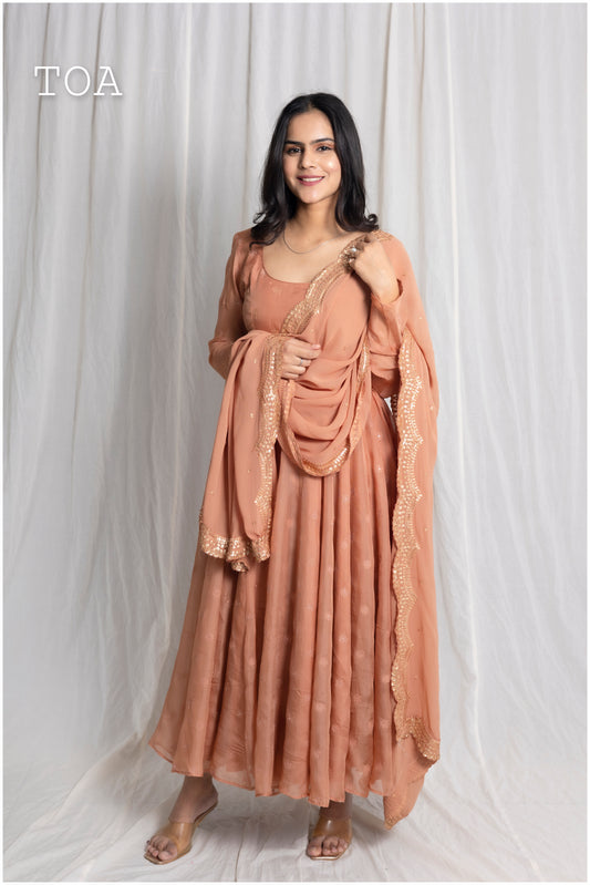 Elegant Organza Anarkali with Dupatta.