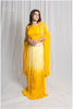 Indo-Western Ombre Skirt Set