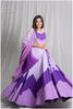 Simplest Yet Elegant TRIO Shade Lehenga Set