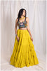 Ochre Yellow Skirt and Designer Multi Mirror Work Blouse Set