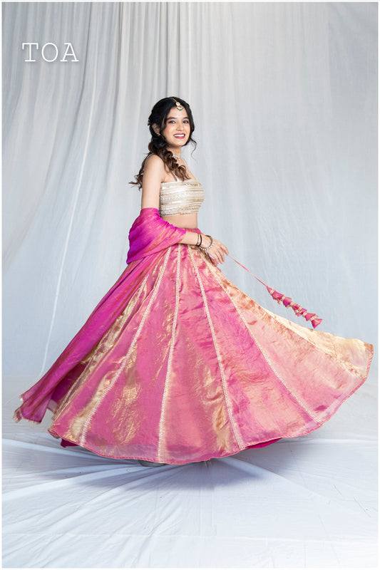 Zardosi Kalli Dual Tone Kanjivaram Skirt - Gulaabi