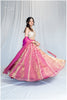 Zardosi Kalli Dual Tone Kanjivaram Skirt - Gulaabi