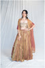 Zardosi Kalli Dual Tone Kanjivaram Skirt - Copper Golden