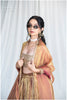 Copper Aura Kanjivaram Ensemble Outfit