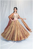 Zardosi Kalli Dual Tone Kanjivaram Skirt - Copper Golden