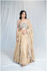 Golden Grace Kanjivaram Ensemble Outfit