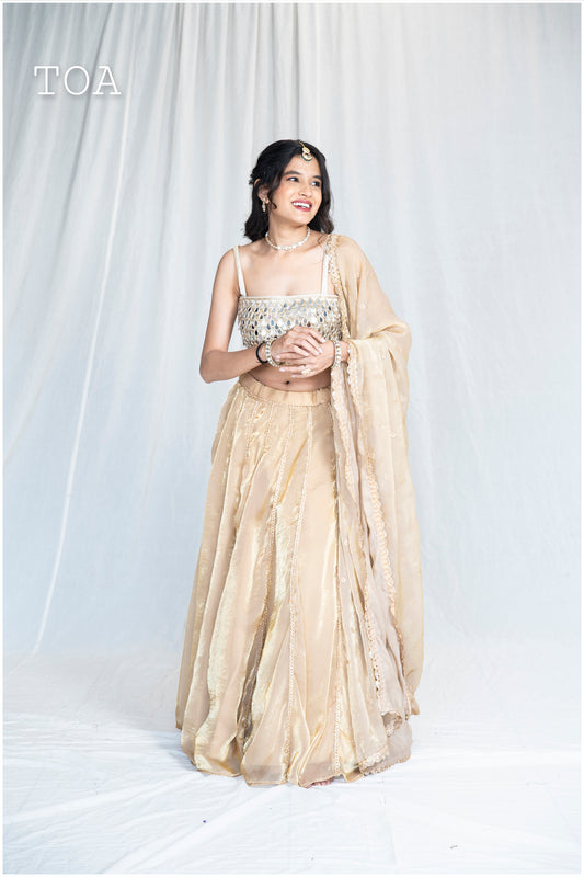 Zardosi Kalli Dual Tone Kanjivaram Skirt - Golden