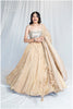 Golden Grace Kanjivaram Ensemble Outfit