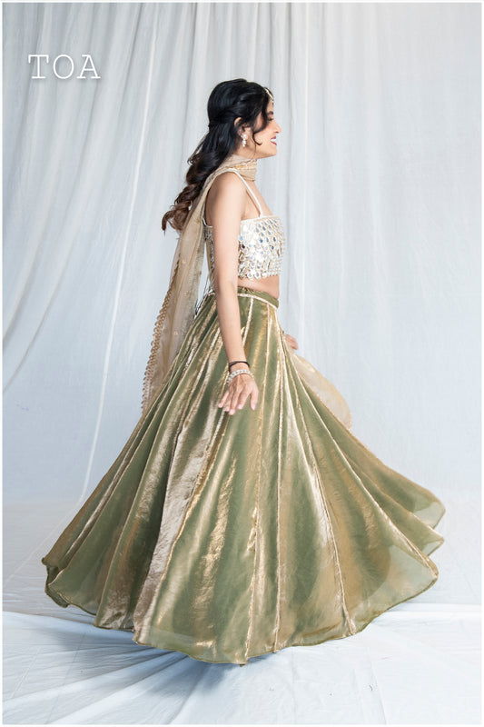 Zardosi Kalli Dual Tone Kanjivaram Skirt - Olive Green