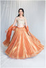 Zardosi Kalli Dual Tone Kanjivaram Skirt - Rust