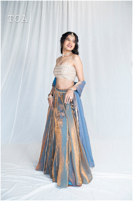 Elsa Blue Kanjivaram Ensemble Outfit
