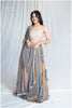 Elsa Blue Kanjivaram Ensemble Outfit