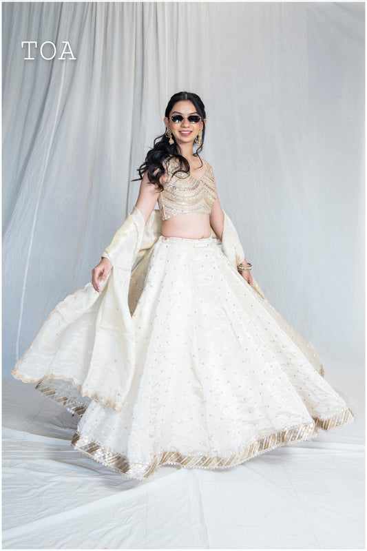 Golden Soft Tissue Kanjivaram Skirt ✨