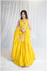 Yellow Kanjivaram Tissue Skirt Only