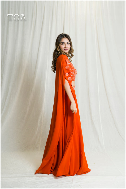 Beautiful Rustic Shade Indo-Western Outfit