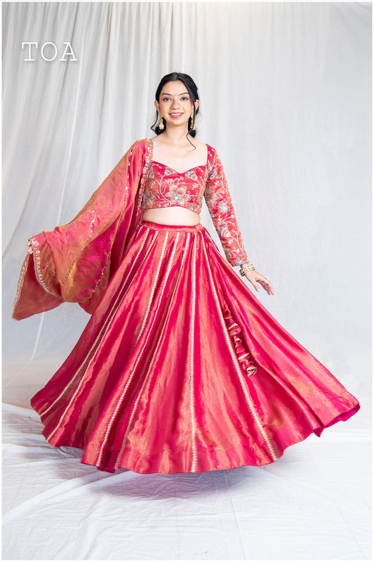Kanjivaram Zardosi Kalli Skirt - Pink