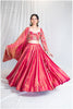 Kanjivaram Zardosi Kalli Skirt - Pink