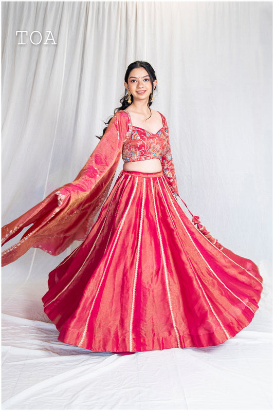 Kanjivaram Zardosi Kalli Skirt - Pink